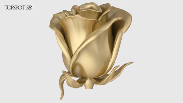 Rose Buds And Leaves Set