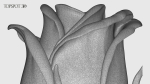 Rose Buds And Leaves Set