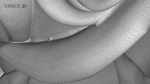 Rose Buds And Leaves Set