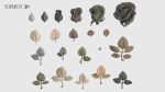 Rose Buds And Leaves Set