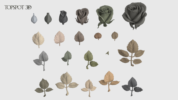 Rose Buds And Leaves Set