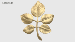 Rose Buds And Leaves Set