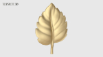 Rose Buds And Leaves Set