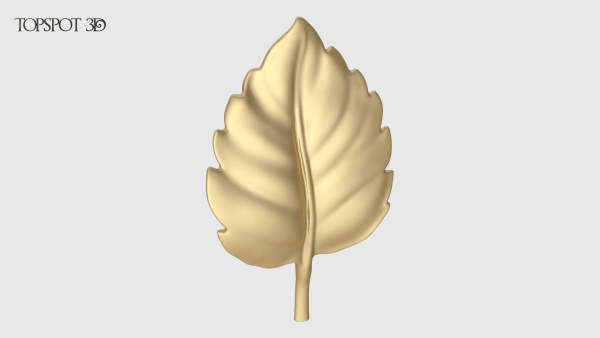 Rose Buds And Leaves Set