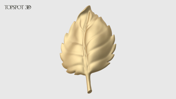 Rose Buds And Leaves Set