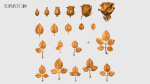 Rose Buds And Leaves Set