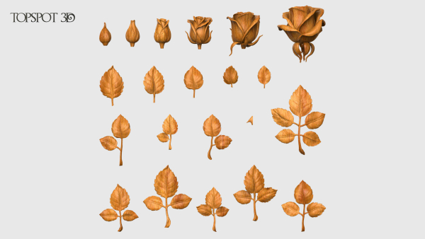 Rose Buds And Leaves Set