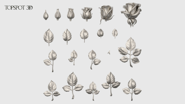 Rose Buds And Leaves Set