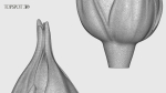 Rose Buds And Leaves Set