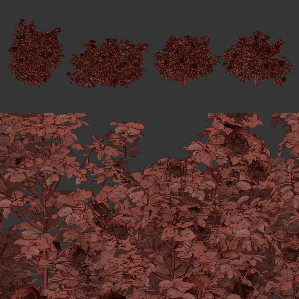 Rose bushes collection vol 74