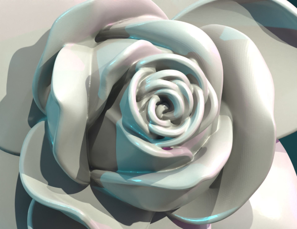 Rose Flower