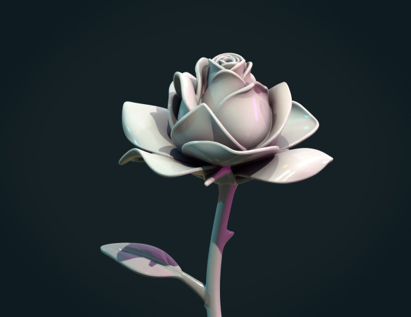 Rose Flower