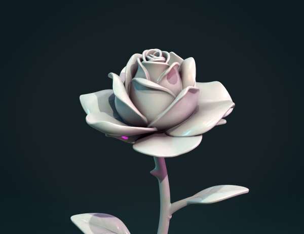Rose Flower