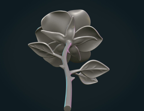 Rose Flower