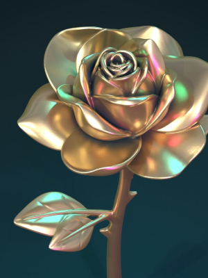 Rose Flower