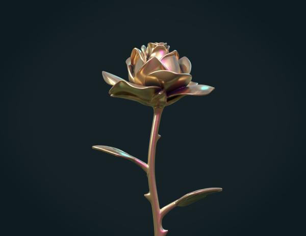 Rose Flower