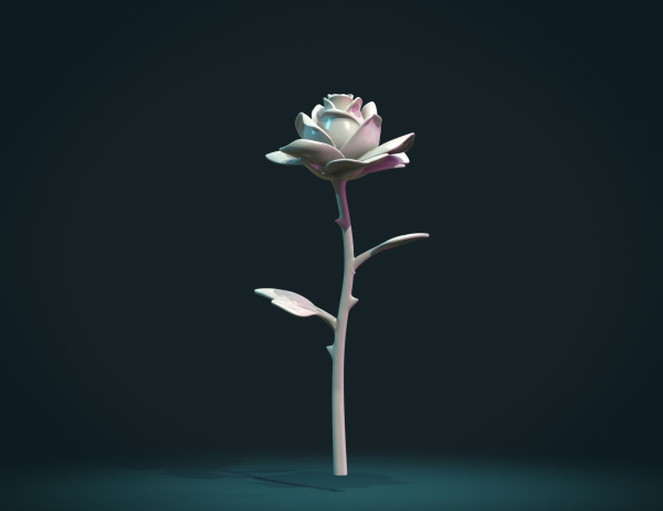 Rose Flower