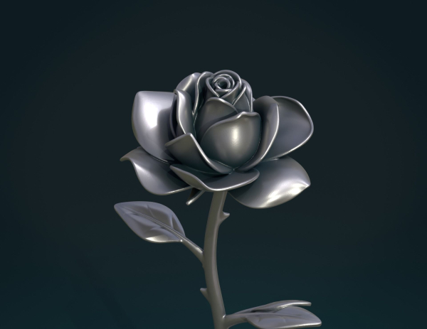Rose Flower