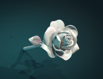 Rose Flower