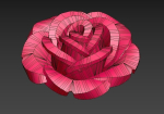Rose flower