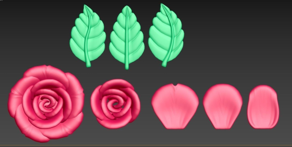 Rose flower