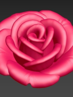 Rose flower