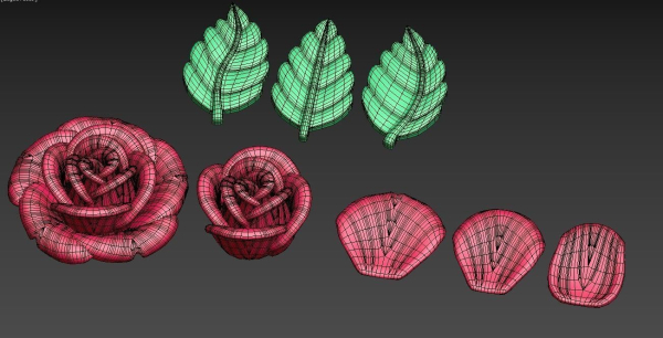 Rose flower