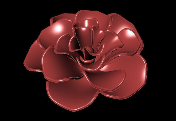 Rose Flower
