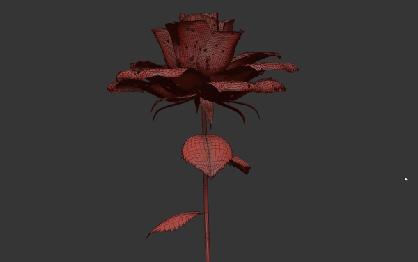 Rose Flower Growth Animation
