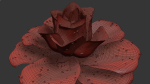 Rose Flower Growth Animation