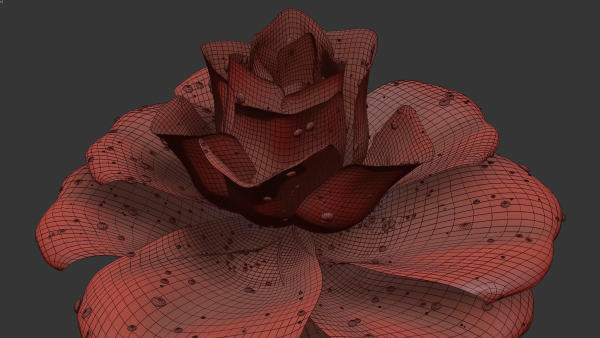 Rose Flower Growth Animation