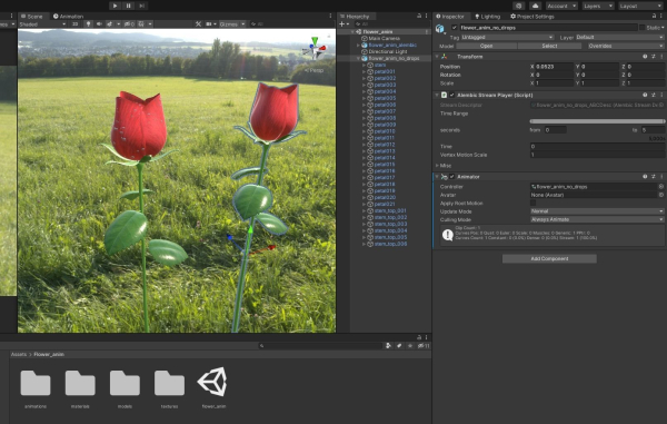 Rose Flower Growth Animation