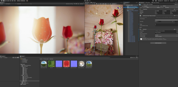 Rose Flower Growth Animation