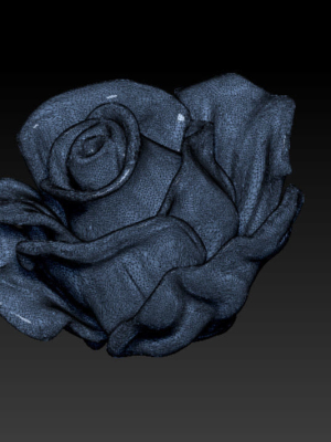rose-flower-printable-3d-model-detailed-realistic-3d-model-obj-mtl-stl