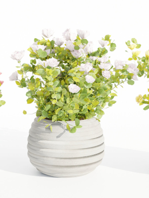 Rose flowering bushes collection vol 77-Blender
