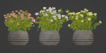 Rose flowering bushes collection vol 77-Blender