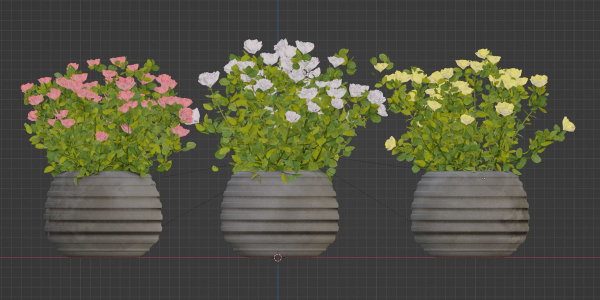 Rose flowering bushes collection vol 77-Blender