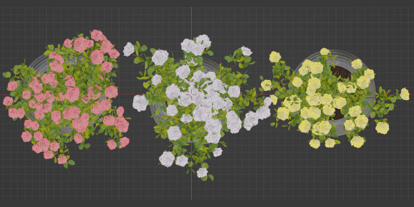 Rose flowering bushes collection vol 77-Blender