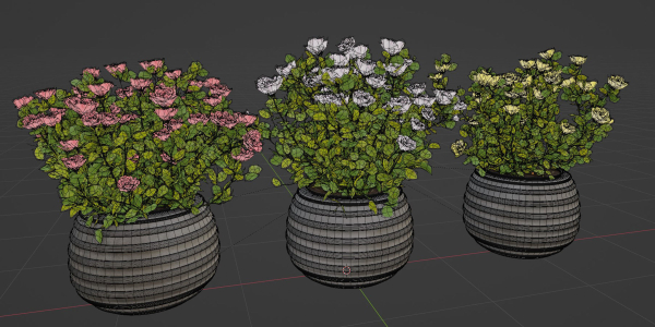 Rose flowering bushes collection vol 77-Blender
