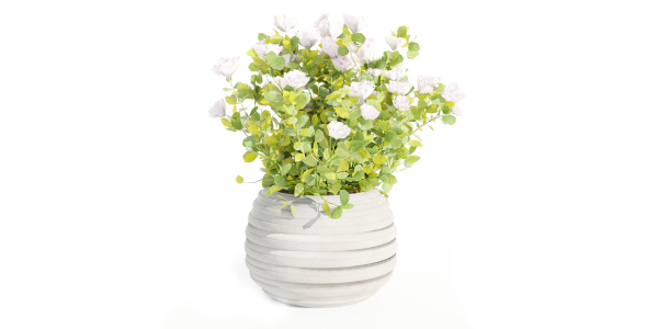 Rose flowering bushes collection vol 77-Blender