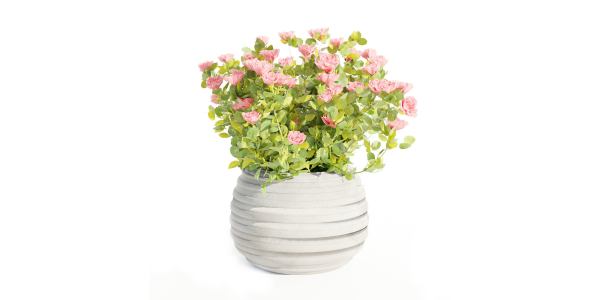 Rose flowering bushes collection vol 77-Blender