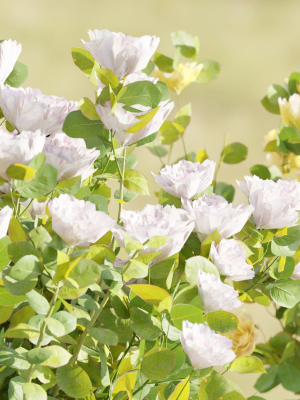 rose-flowering-bushes-collection-vol-77-blender-3d-model-fe5036d0e4