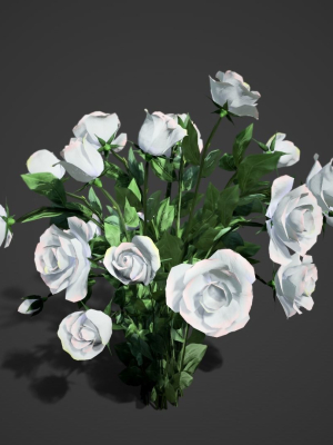Rose flowers bush white LOD