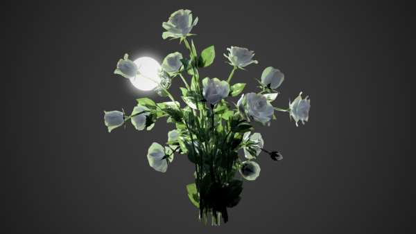 Rose flowers bush white LOD