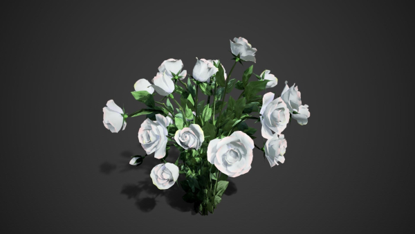 Rose flowers bush white LOD