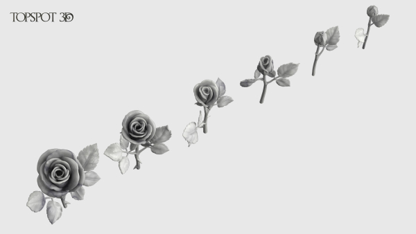 Rose Flowers Pack