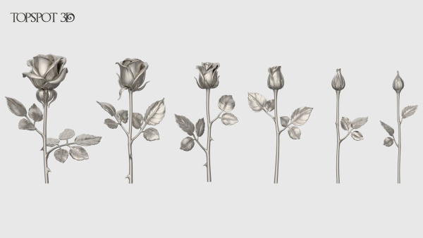 Rose Flowers Pack
