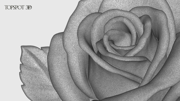 Rose Flowers Pack