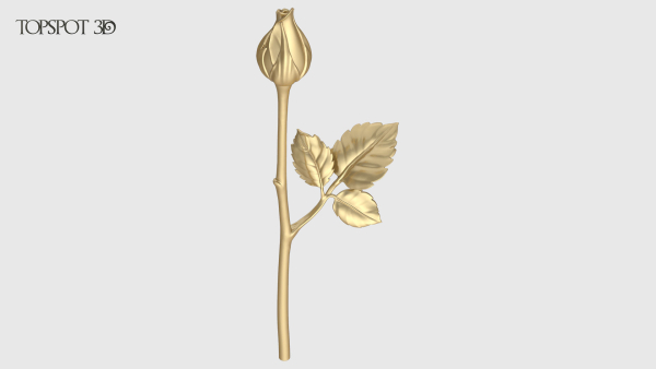 Rose Flowers Pack