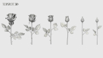 Rose Flowers Pack